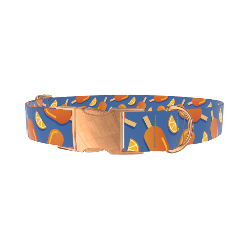 Citrus Popsicle Dog Collar - metal silver