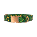 Lucky Rainbow Dog Collar - metal silver