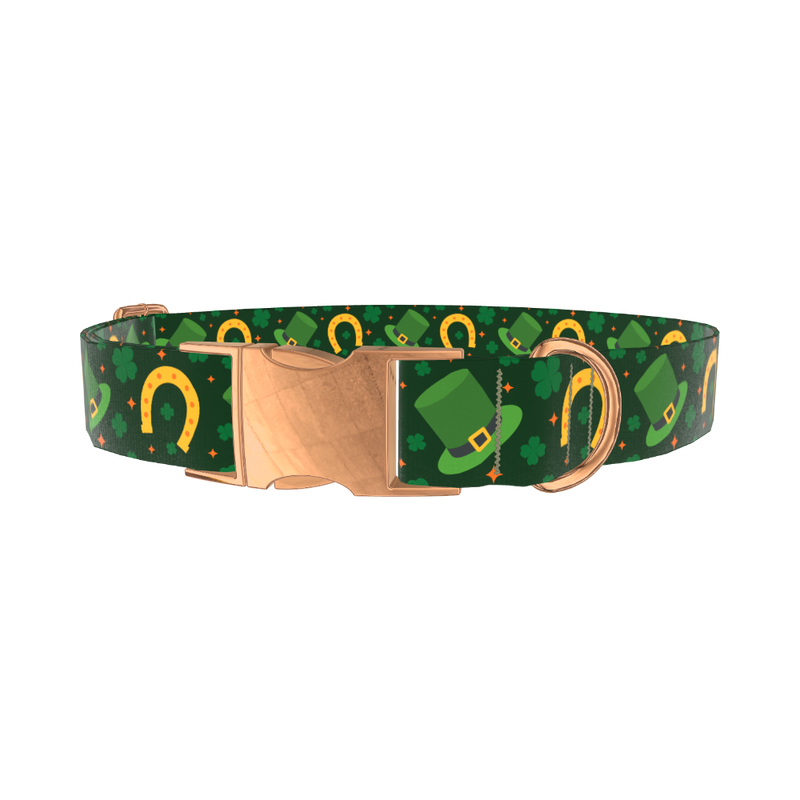 Lucky Rainbow Dog Collar - metal silver