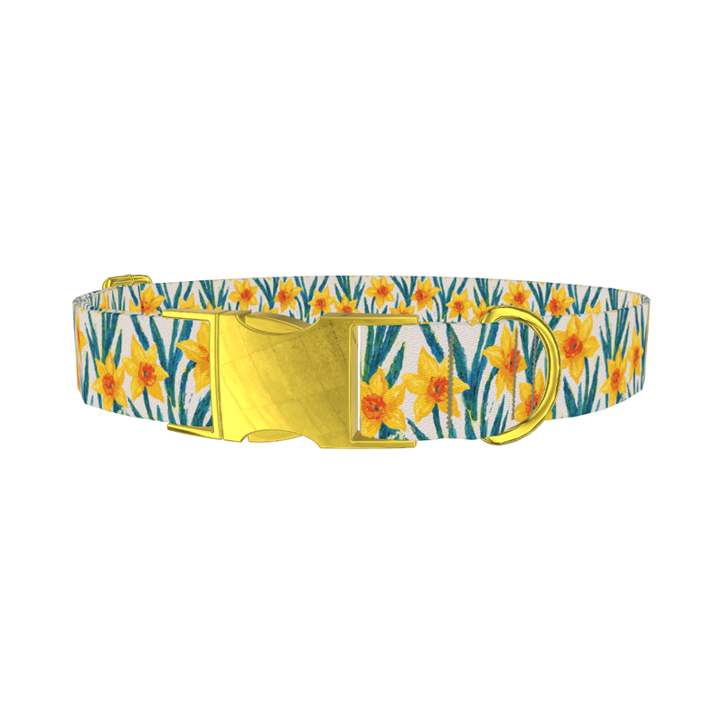 Yellow Daffodil Dog Collar - metal gold