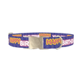 Birthday Text Dog Collar - metal silver