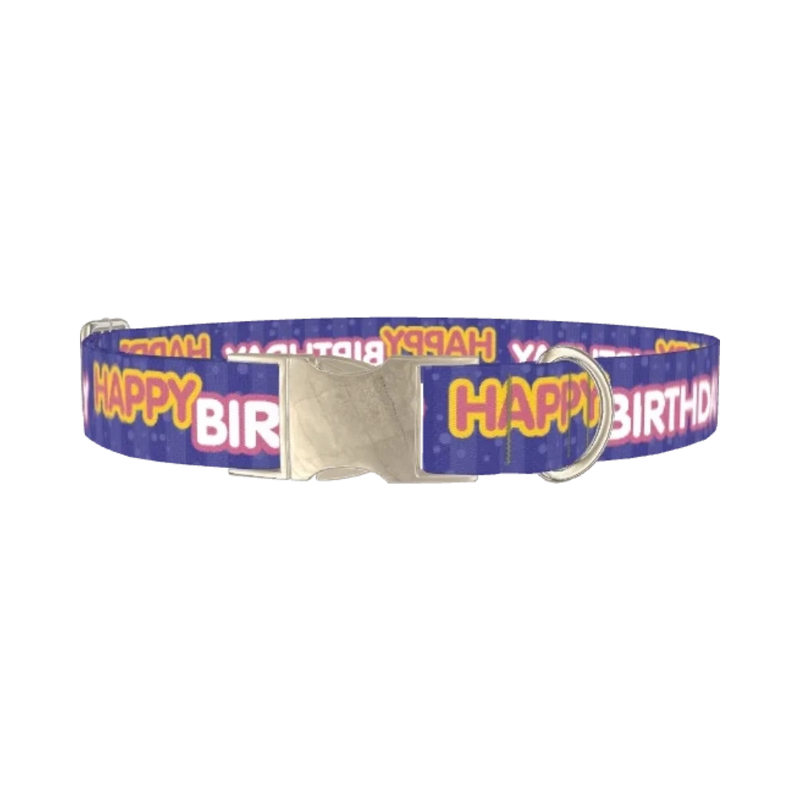 Birthday Text Dog Collar - metal silver