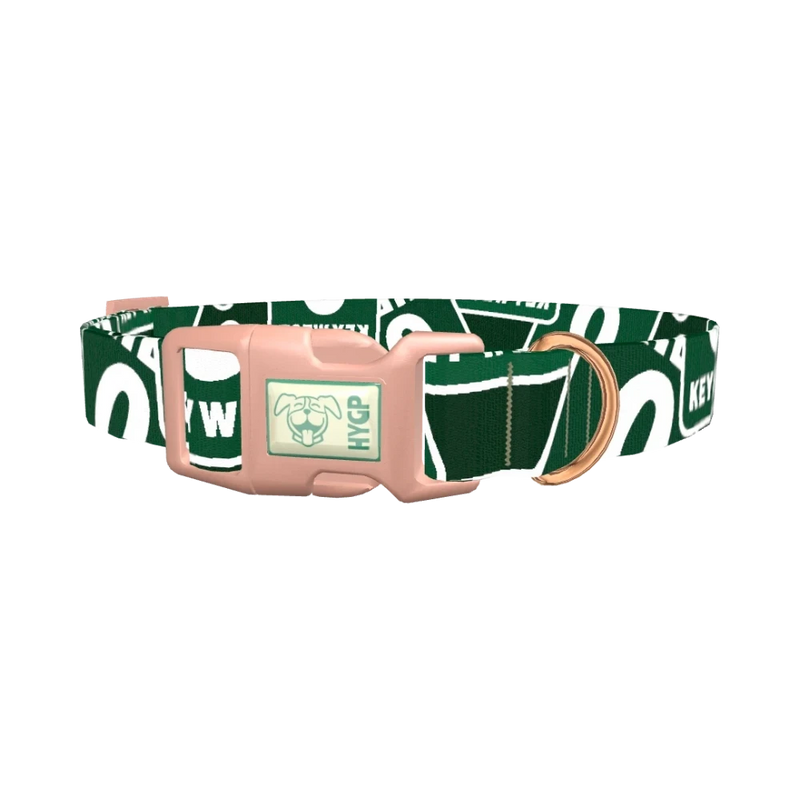 Key West Road Sign Dog Collar - plastic rose gold