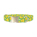 Yellow Duck Pattern Dog Collar - metal silver