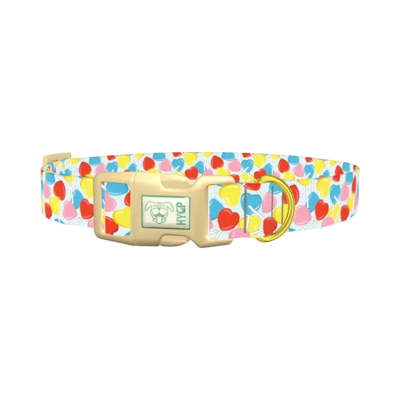 Candy Heart Dog Collar - plastic gold