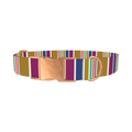 Purple Blue Green Stripes Dog Collar - metal rose gold