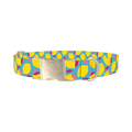 Lemon Fruit Dog Collar - metal silver