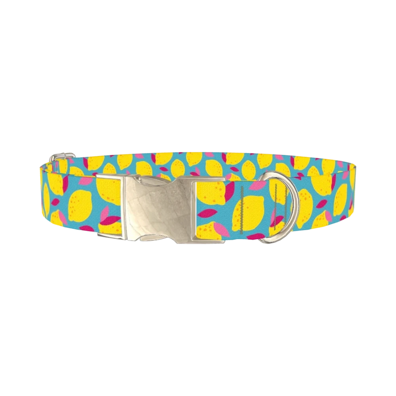 Lemon Fruit Dog Collar - metal silver