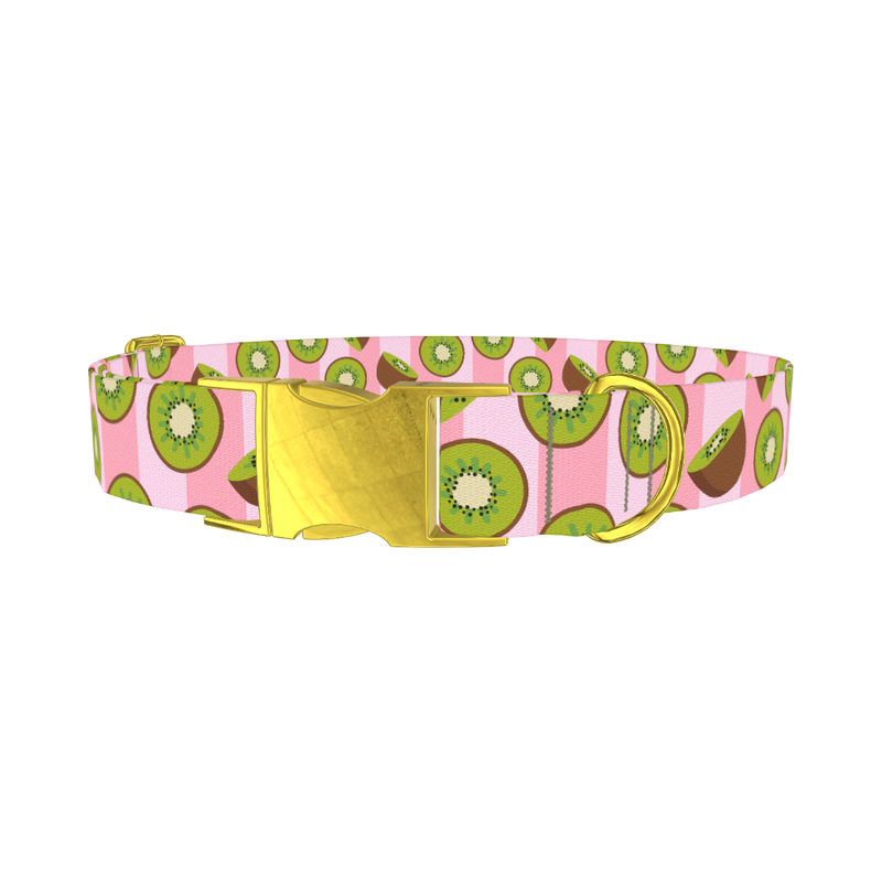 Pink Kiwi Pattern Dog Collar - metal gold