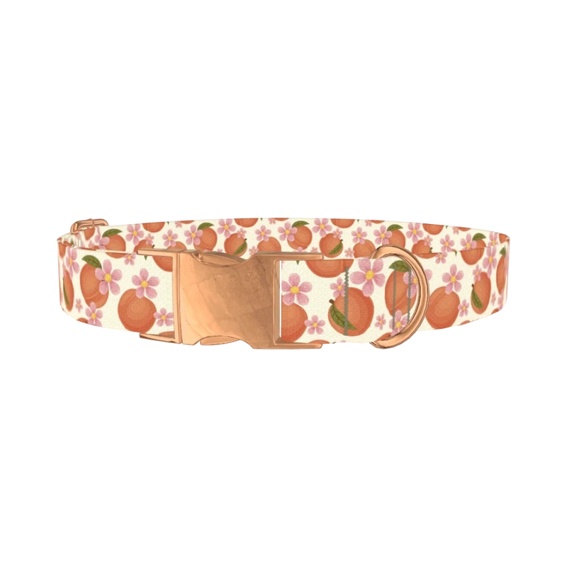 Peach Floral Dog Collar - metal rose gold