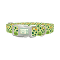 Leprechaun Hat and Clover Dog Collar - plastic silver