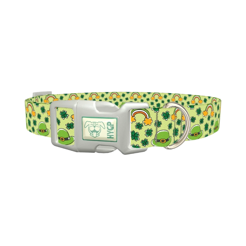 Leprechaun Hat and Clover Dog Collar - plastic silver