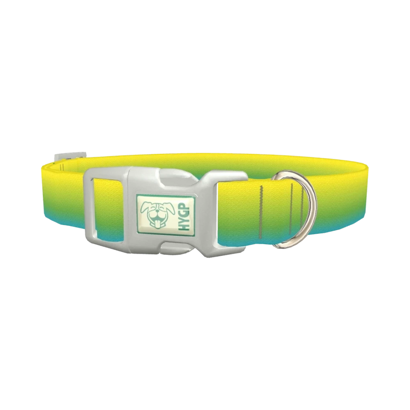 Gradient Dog Collar - plastic silver