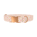 Peach Daisy Pattern Dog Collar - metal rose gold