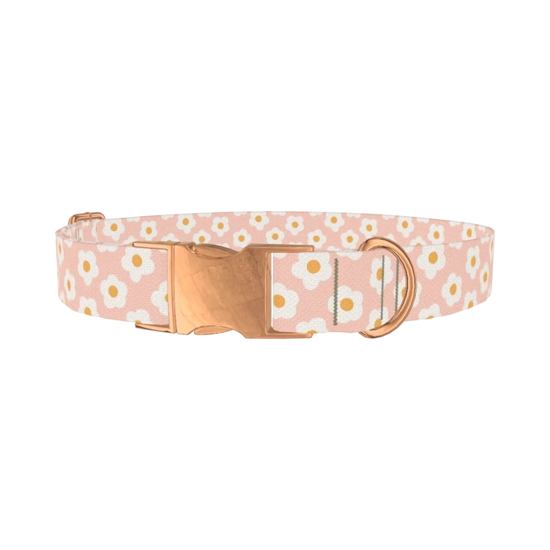 Peach Daisy Pattern Dog Collar - metal rose gold