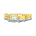 Beach Sun Dog Collar - plastic silver