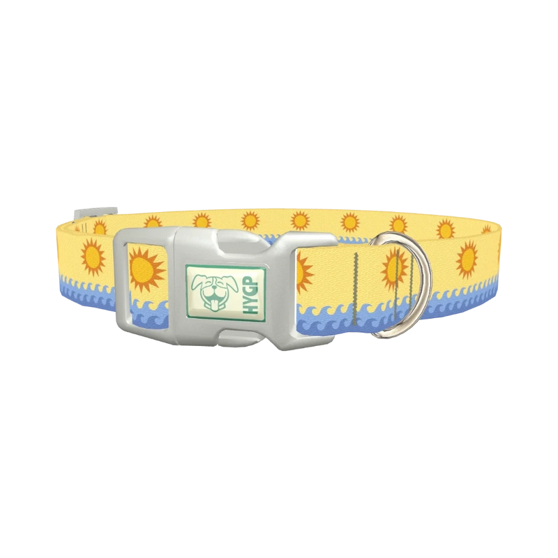 Beach Sun Dog Collar - plastic silver