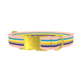 Multicolor Stripes Dog Collar - metal gold
