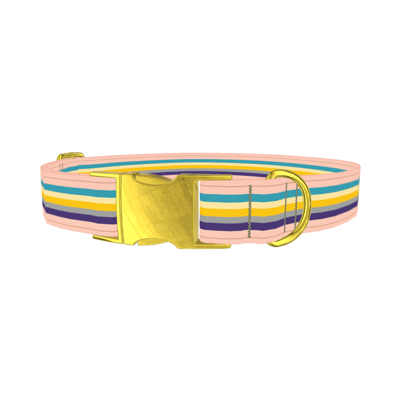 Multicolor Stripes Dog Collar - metal gold