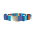Orange Blue Stripes Dog Collar - metal silver