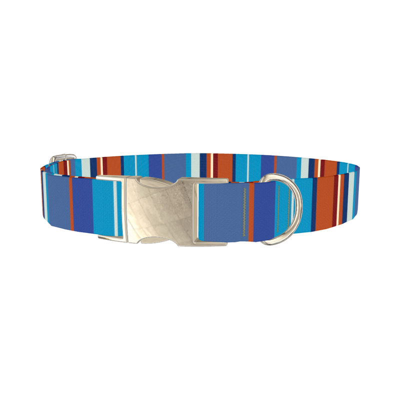 Orange Blue Stripes Dog Collar - metal silver
