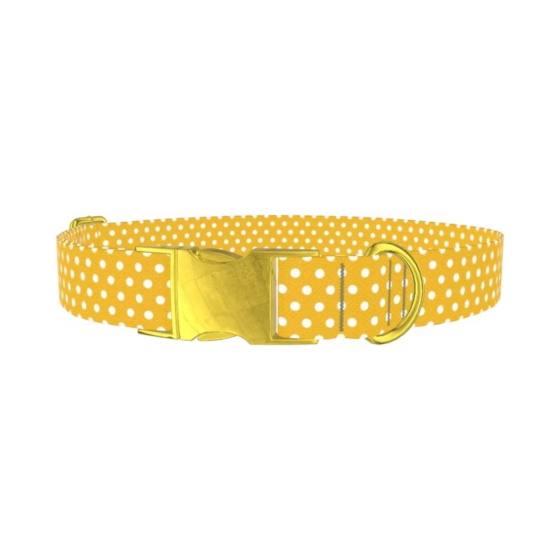 Polka Dot Dog Collar - metal gold