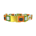 Rainbow Luck Dog Collar - metal gold