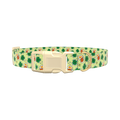 St. Patrick's Day Beer Clover Dog Collar - plastic silver