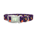 Halloween Witch Potion Dog Collar - plastic silver
