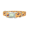 Western Desert Horse Dog Collar - plastic silver