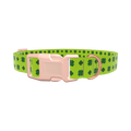 Clover St. Patrick's Dog Collar - plastic gold