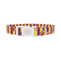 Purple Stripe Football Dog Collar - plastic silver