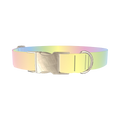 Pastel Gradient Dog Collar - metal silver