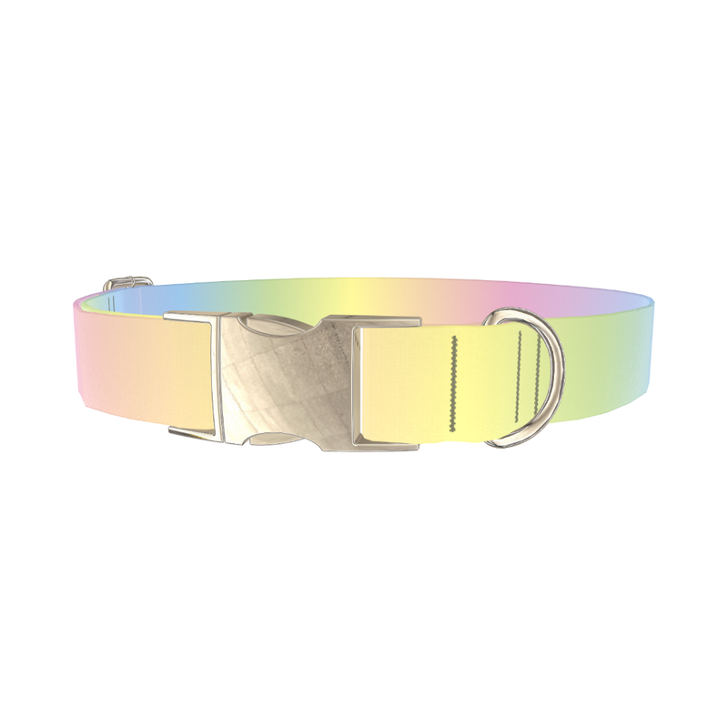 Pastel Gradient Dog Collar - metal silver