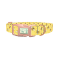 Bee Science Dog Collar - plastic rose gold