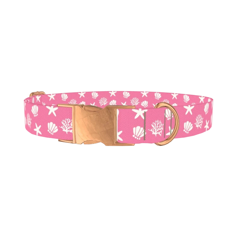 Seashell Beach Dog Collar - metal rose gold