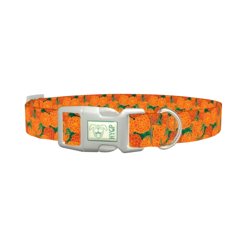 Floral Marigold Dog Collar - plastic silver