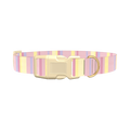 Geometric Stripe Dog Collar - plastic silver