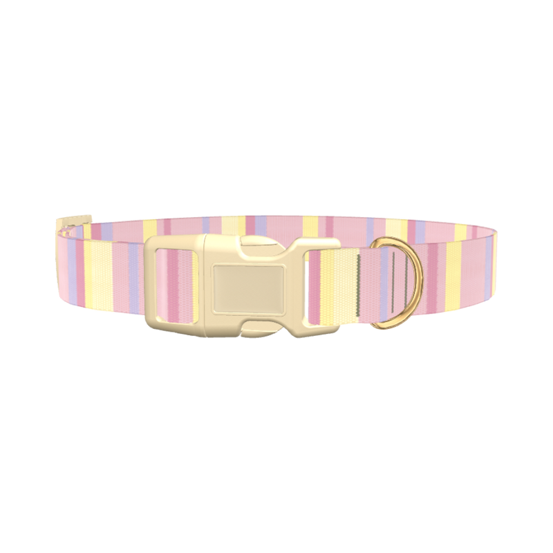 Geometric Stripe Dog Collar - plastic silver