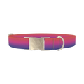 Gradient Pink Blue Dog Collar - metal silver