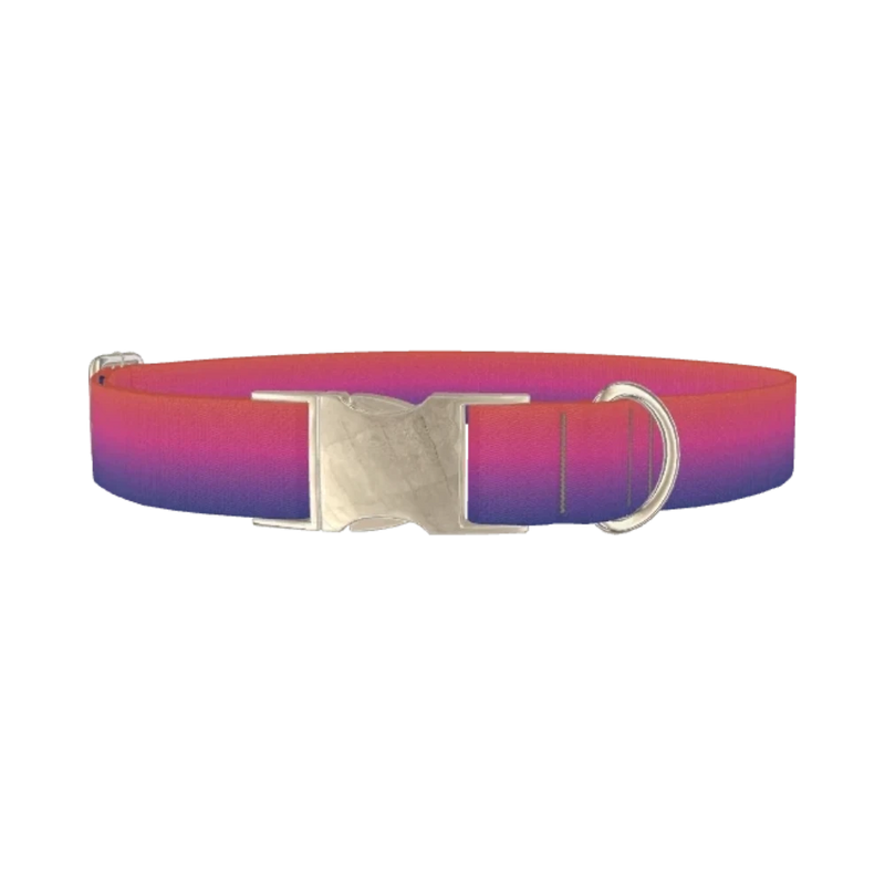 Gradient Pink Blue Dog Collar - metal silver