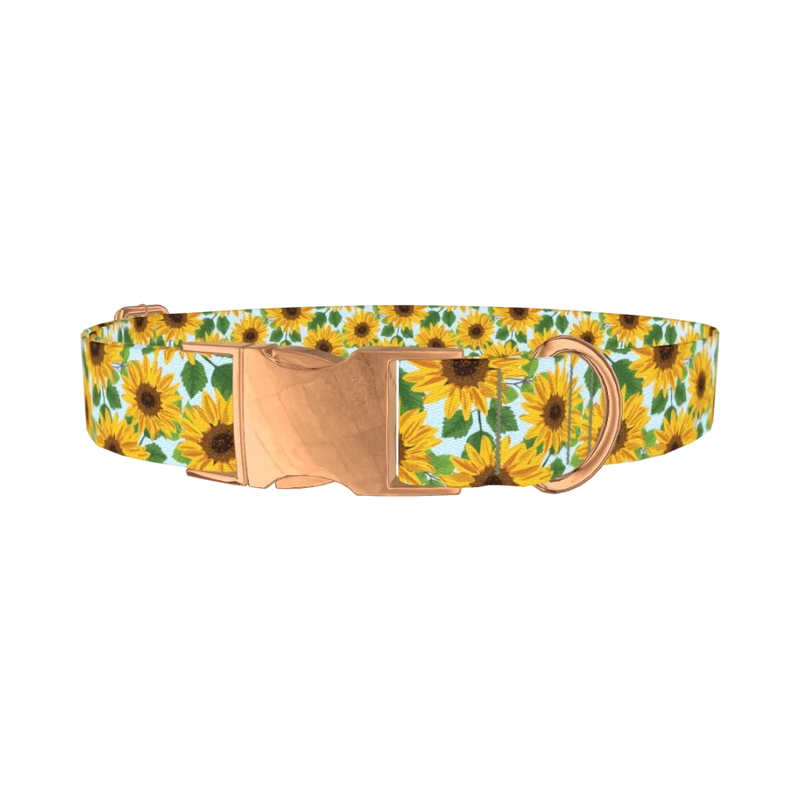 Sunflower Garden Dog Collar - metal rose gold
