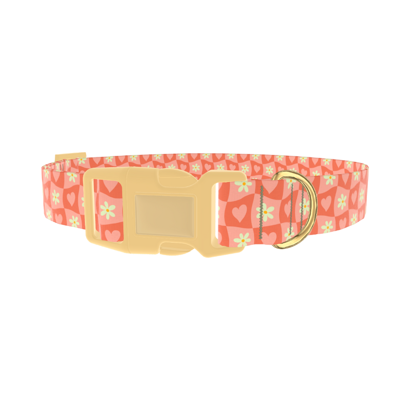 Heart and Daisy Dog Collar - plastic gold