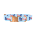 Patriotic Bowtie Dog Collar - metal rose gold