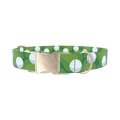 Golf Course Dog Collar - metal silver