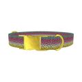 Rainbow Trout Pattern Dog Collar - metal gold