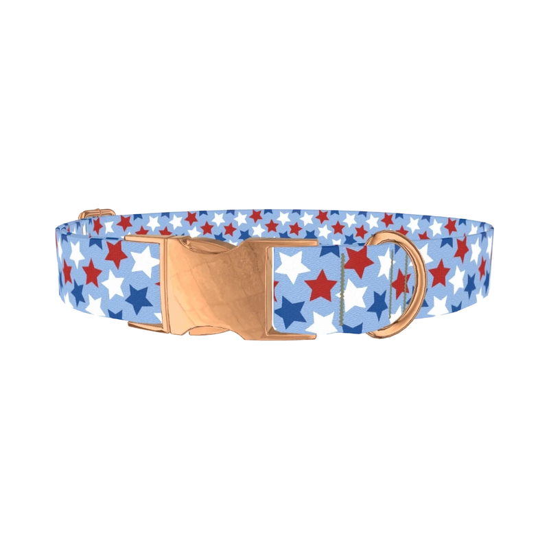 Blue Patriotic Stars Dog Collar - metal rose gold