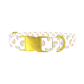 Rainbow Pattern Dog Collar - metal gold