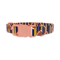 Striped Football 8870462849239 Dog Collar - plastic rose gold