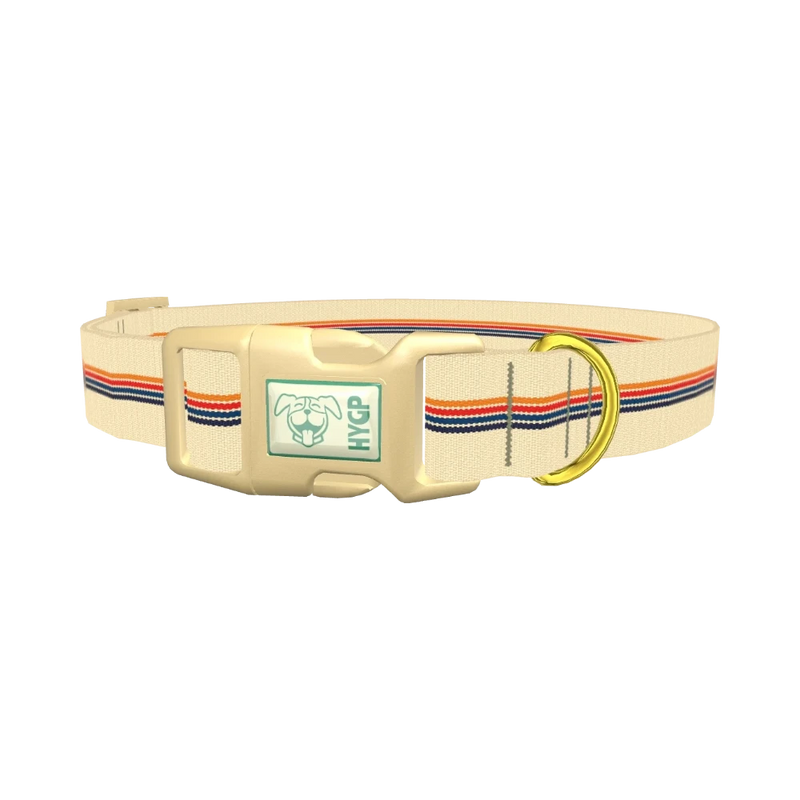Colorful Hexagon Stripe Dog Collar - plastic gold